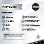 Phatom Ice  Foto Fem  x4 - Mamua Seeds & Life - Imagen 2