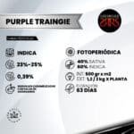 Purple Traingie Fem (Fotoperiódica) - Silver River Seeds x5 - Imagen 2