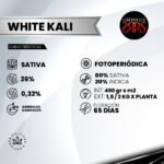 White Kaly  Fem (Fotoperiódica) - Silver River Seeds x5 - Imagen 2