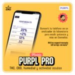 PurplPro - Imagen 2