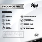 Choco OG  Foto Fem x3 - 1439 Criadores - Imagen 2