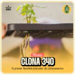 Clona 340 - H2H Hidroponia