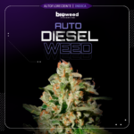 Auto Diesel Weed - Bioweed