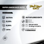 Auto Super Lemon Haze 3+1 - Green House Seeds - Imagen 2