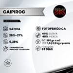 Caipirog Fem (Fotoperiódica) x5 - Silver River Seeds - Imagen 2