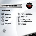 Exodus Light Fem (Fotoperiódica)  x5 - Silver River Seeds - Imagen 2