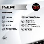 Starlime Fem (Fotoperiódica) x5 - Silver River Seeds - Imagen 2