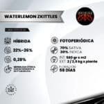 Watermelon Skittles Fem (Fotoperiódica) x5 - Silver River Seeds - Imagen 2