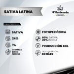 Sativa Latina Fem (Fotoperiodica) - Mariseeds Seleccion - Imagen 2
