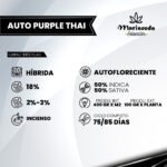 Auto Purple Thai - Mariseeds Seleccion - Imagen 2