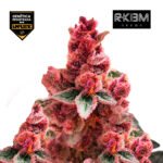 Fancy Gummy Foto Fem x3 - Rkiem Seeds