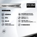 Fancy Gummy Foto Fem x3 - Rkiem Seeds - Imagen 2