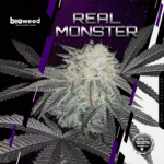 Real Monster (Regular) - Bioweed