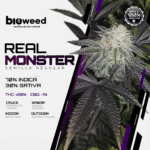 Real Monster (Regular) - Bioweed - Imagen 2
