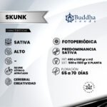 Buddha Skunk Fem (Fotoperiódica) -Buddha Seeds x3 - Imagen 2