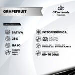 Grapefruit Fem (Fotoperiódica) - Mariseeds Seleccion - Imagen 2