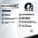 Shiva Skunk Fem (Fotoperiódica) - Sensi Seeds x3 - Imagen 2