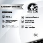 Blackberry Cake Fem (Fotoperiódica) - Sensi Seeds x3 - Imagen 2