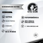 Screwdriver OG Fem (Fotoperiódica) - Sensi Seeds x3 - Imagen 2