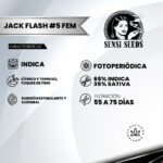 Jack Flash #5 Fem (Fotoperiódica) - Sensi Seeds x3 - Imagen 2