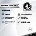 Mandarin Punch Fem (Fotoperiódica) - Sensi Seeds x3 - Imagen 2