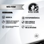 N13 Kush Fem (Fotoperiódica) - Sensi Seeds x3 - Imagen 2