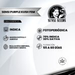 Sensi Purple Kush Fem (Fotoperiódica) - Sensi Seeds x3 - Imagen 2