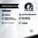 Purple Skunk Auto - Sensi Seeds x3 - Imagen 2