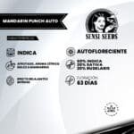 Mandarin Punch Auto - Sensi Seeds x3 - Imagen 2
