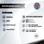 Eleven Roses Auto - Delicious Seeds 3+1 - Imagen 2