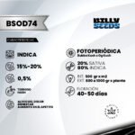 BSOD74 Fem (Fotoperiódica) - Billy Seeds x3 - Imagen 2
