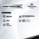 Cherry Runtz Fem (Fotoperiódica) - Mariseeds Seleccion - Imagen 2