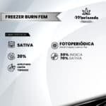 Freezer Burn Fem (Fotoperiódica) - Mariseeds Seleccion - Imagen 2
