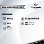 GMO X Legend O.G Fem (Fotoperiódica) - Mariseeds Seleccion - Imagen 2