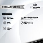 Gorilla Runtz Fem (Fotoperiódica) - Mariseeds Seleccion - Imagen 2