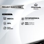 Project Runtz Fem (Fotoperiódica) - Mariseeds Seleccion - Imagen 2