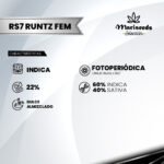 Rs7 Runtz Fem (Fotoperiódica) - Mariseeds Seleccion - Imagen 2