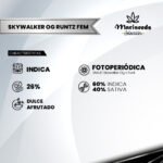 Skywalker OG Runtz Fem (Fotoperiódica) - Mariseeds Seleccion - Imagen 2