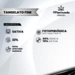 Tangelato Fem (Fotoperiódica) - Mariseeds Seleccion - Imagen 2