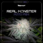 Real Monster Fem (Fotoperiódica) - Bioweed