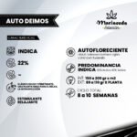 Auto Deimos - Mariseeds Selección - Imagen 2
