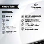 Auto G Mac - Mariseeds Selección - Imagen 2