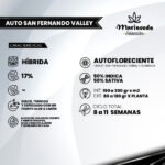 Auto San Fernando Valley - Mariseeds Selección - Imagen 2