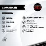 Comanche Auto x5 - Silver River Seeds - Imagen 2