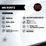 MK Runtz Auto x5 - Silver River Seeds - Imagen 2