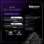 Auto Bio Sunset - Bioweed - Imagen 2