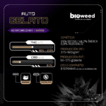 Auto Gelato  - Bioweed - Imagen 2