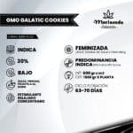 Gmo Galactic Cookies fem - Mariseeds Seleccion - Imagen 2