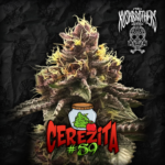 Cerezita #89 x3 - The Kushbrothers