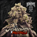 Jealousy x Dosidos x3 - The Kushbrothers